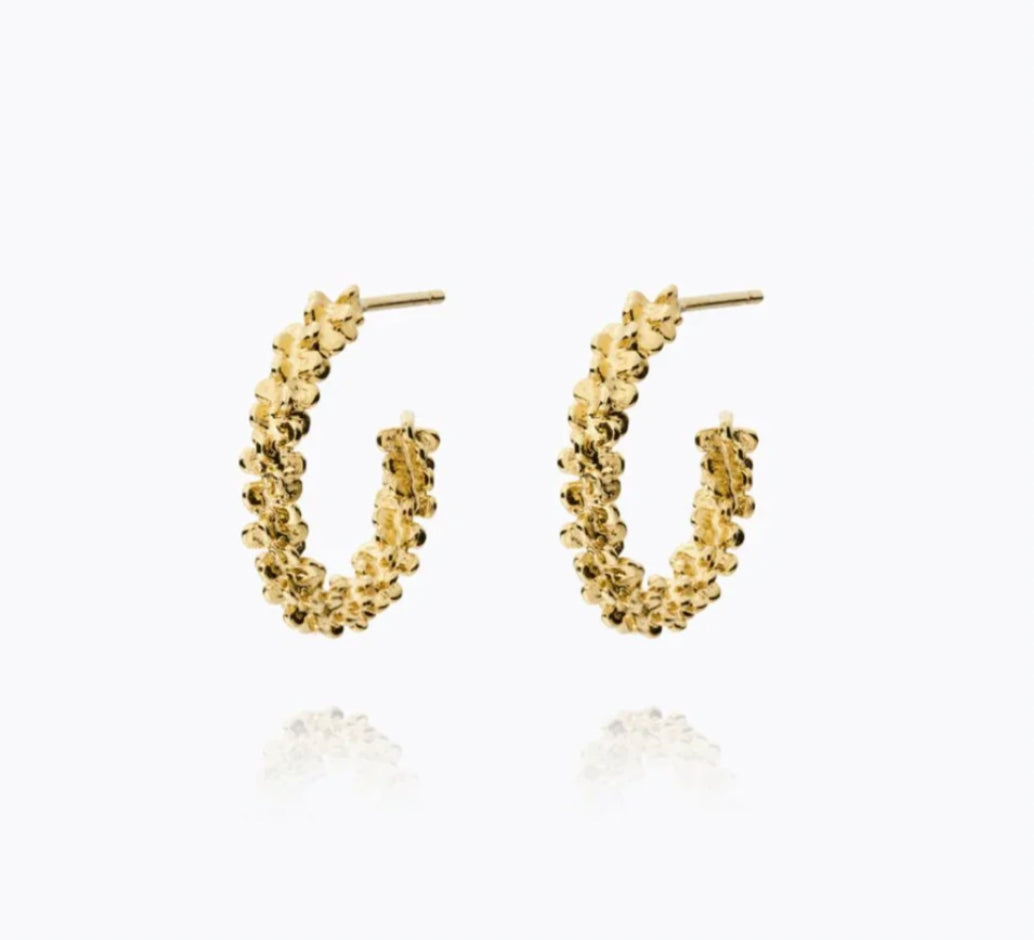 C Svedbom Gemma Hoops Gold Earrings