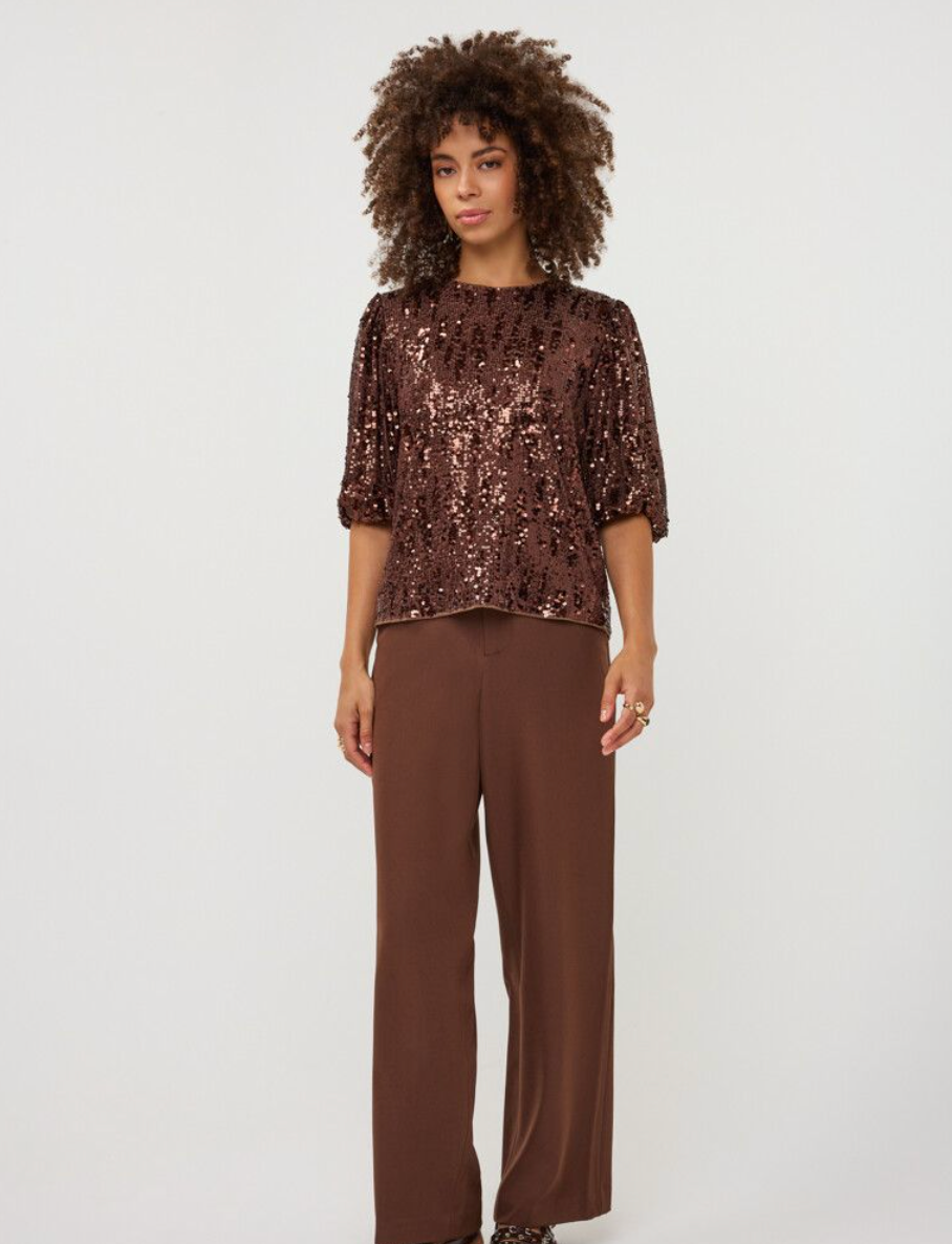 Molly Coffee Sequin Balloon Sleeve Top