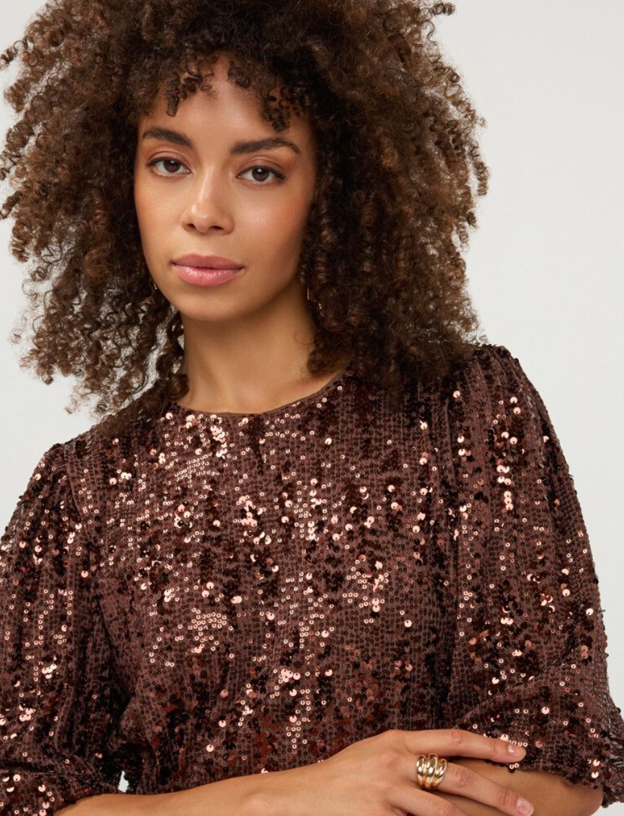 Molly Coffee Sequin Balloon Sleeve Top